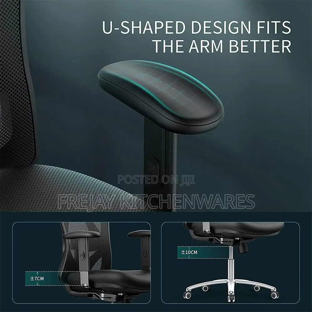 Ergonomic Office Chair