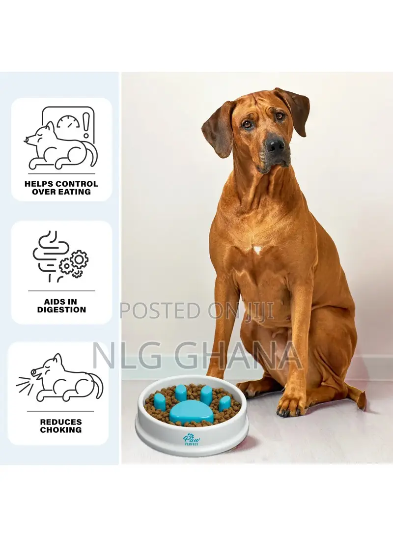 Large Capacity Dog Cat Paw Maze Design Slow Feeder. Ghx2932