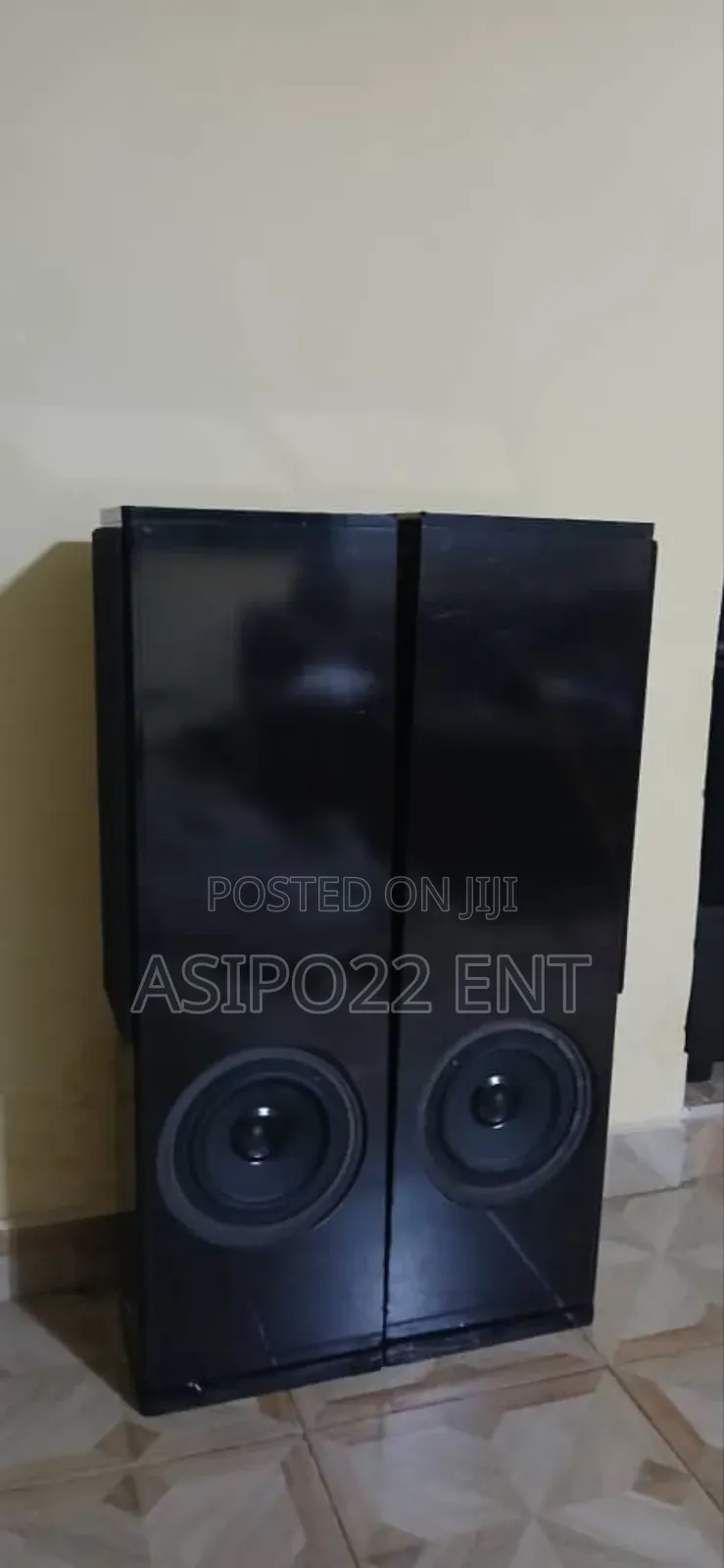 Ross or 703 Floor Standing Speaker