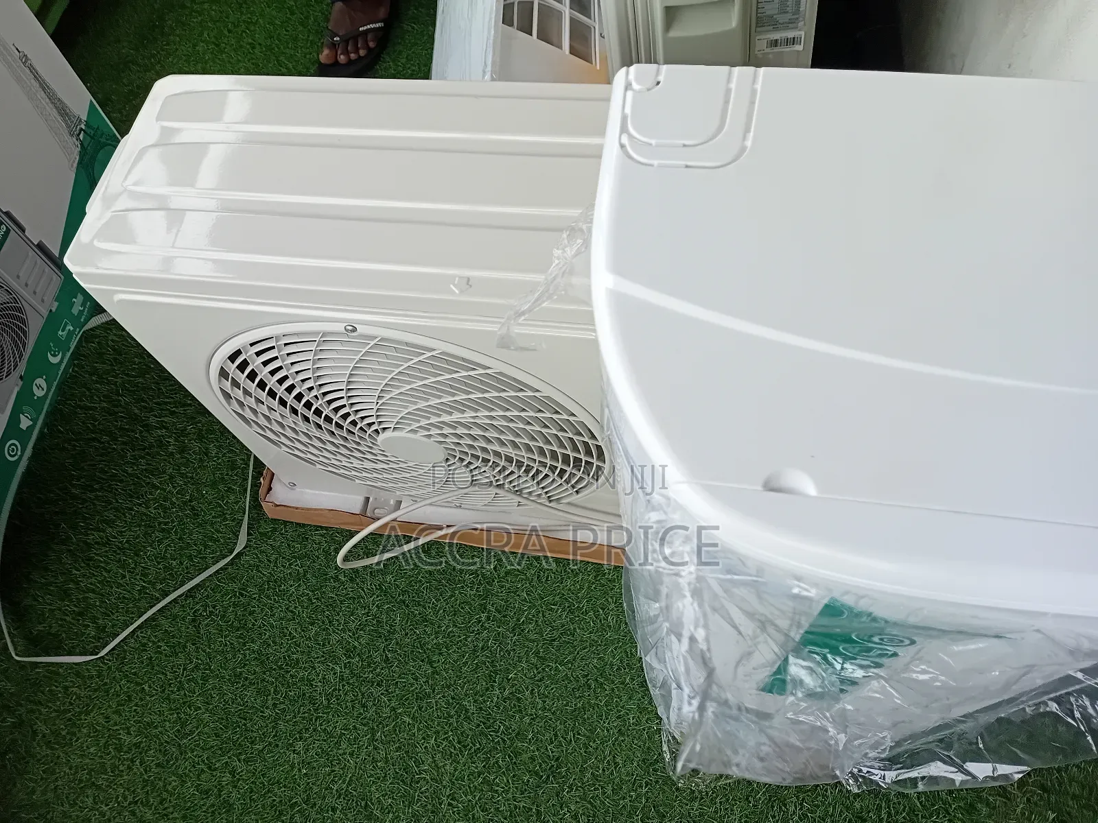 Green World 1.5hp Flamino