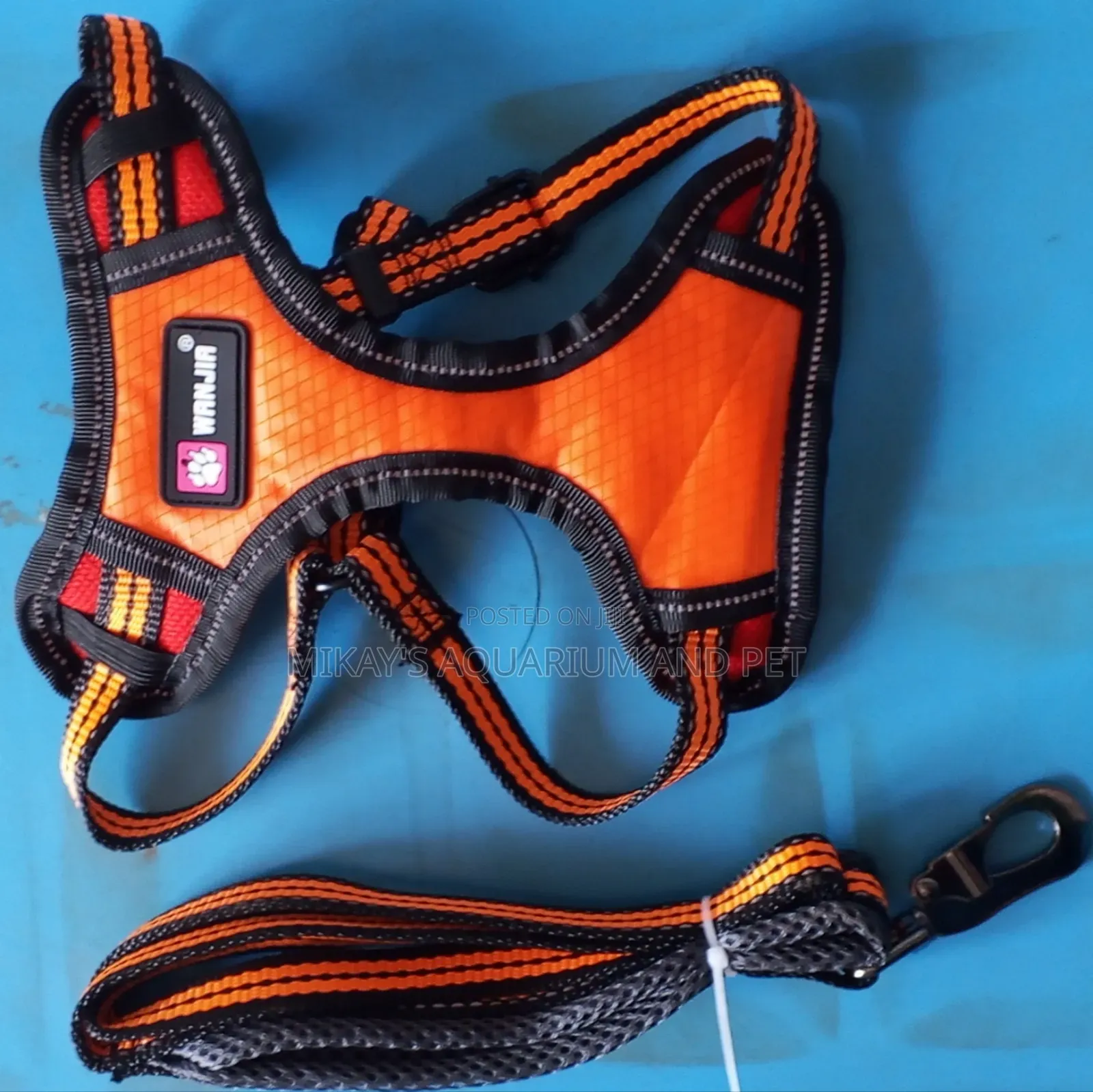 Leash With Harness for Dog