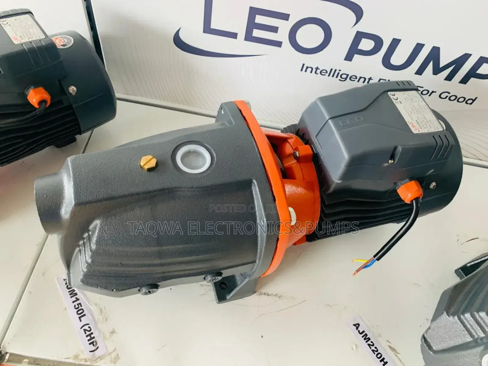 2.0hp Leo Cast Pump