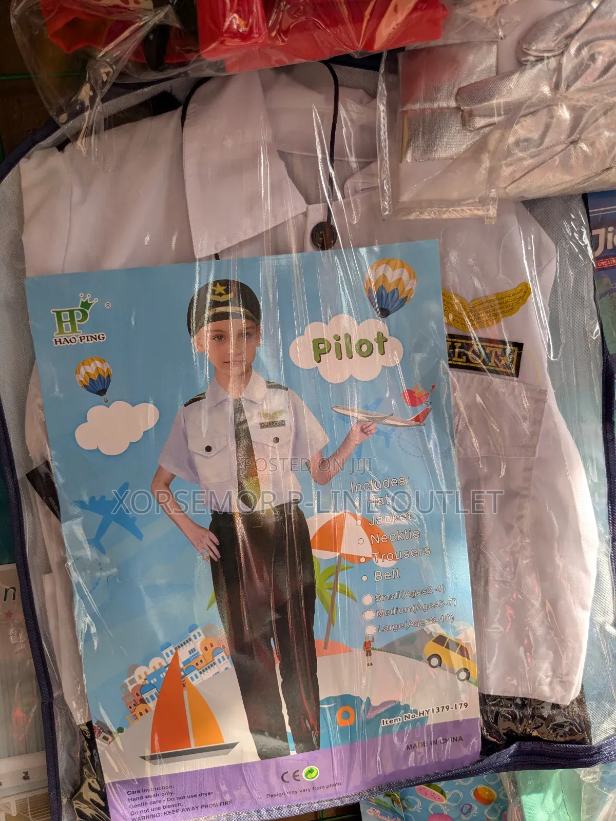 Pilot Career Day Costume