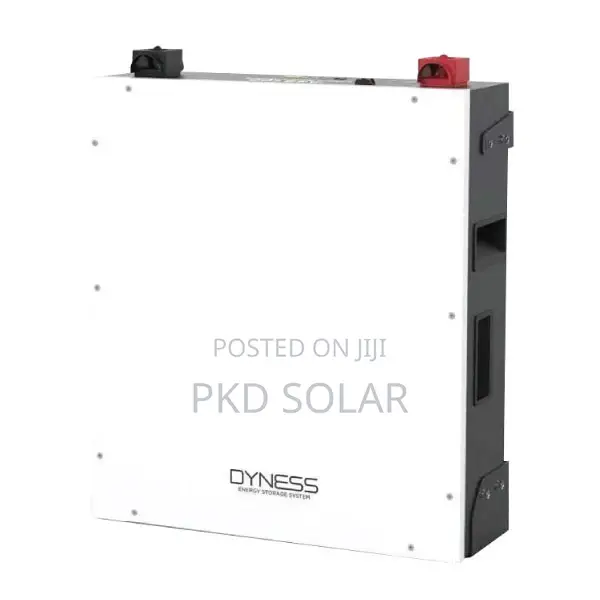 Dyness Lithium 5.12kwh 48v 100ah