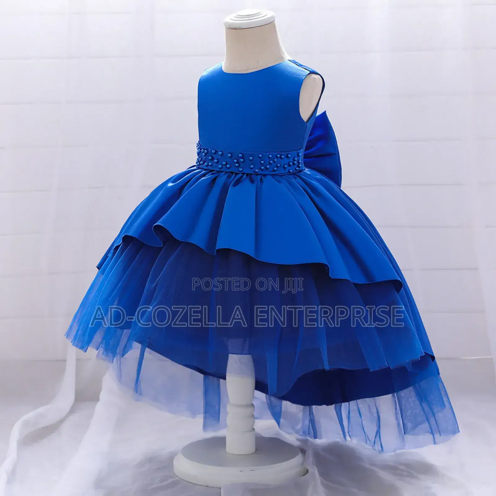 Beautiful Princess Dress
