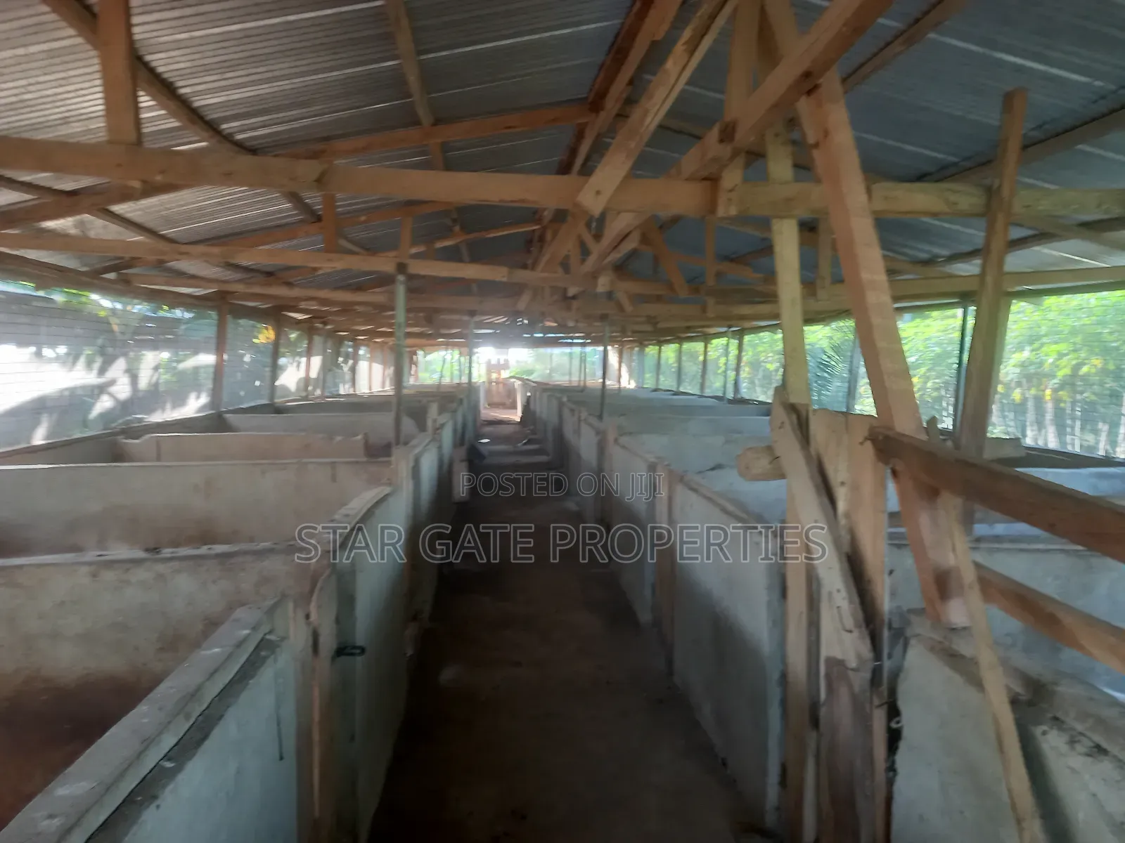 Pig Farm for Sale at Offinso ( on 12 Plots) 2 Half Acres Land