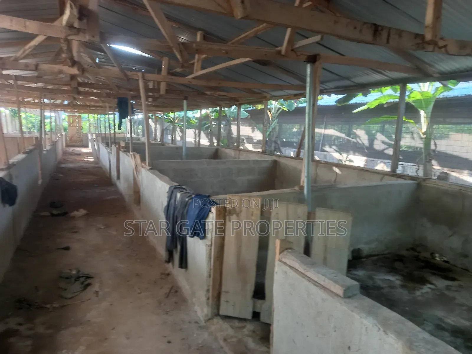 Pig Farm for Sale at Offinso ( on 12 Plots) 2 Half Acres Land