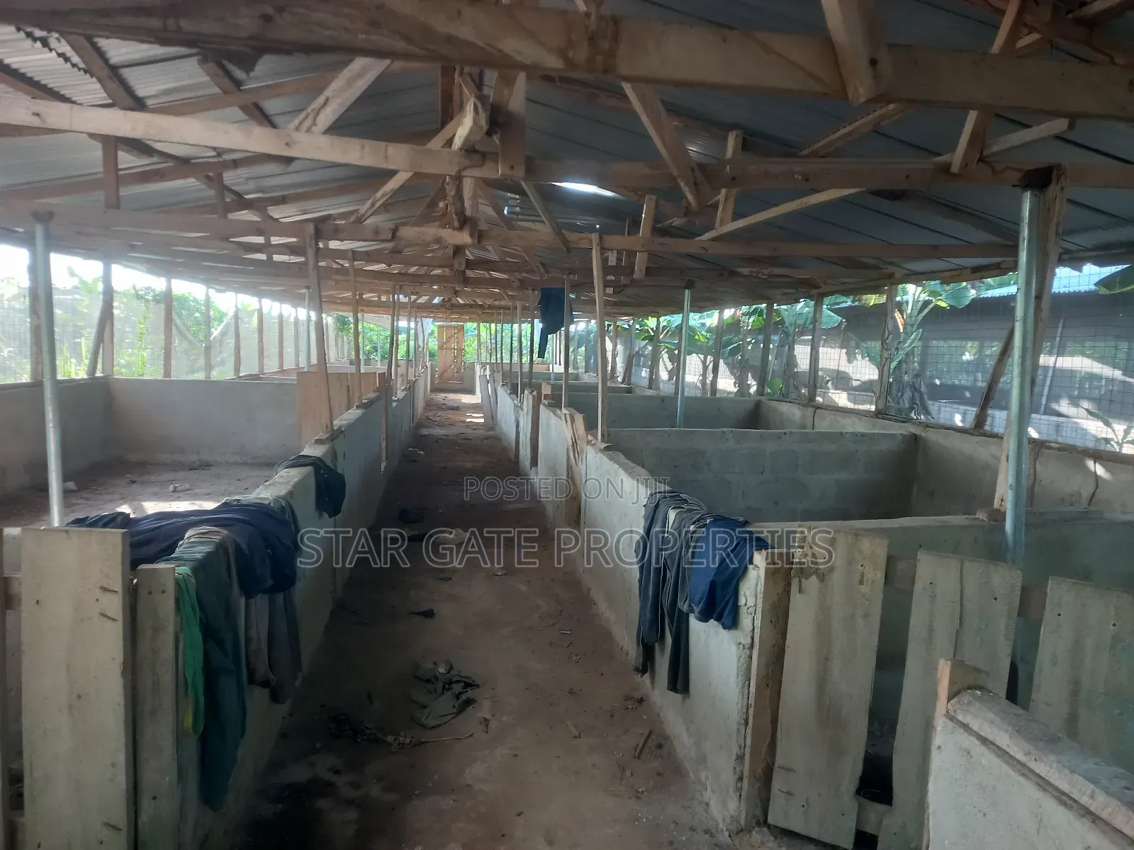 Pig Farm for Sale at Offinso ( on 12 Plots) 2 Half Acres Land
