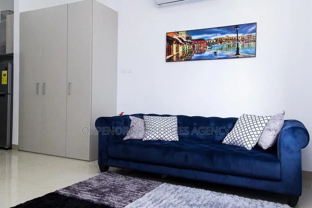 Furnished Studio Apartment in Osu, Nyaniba Estate for rent