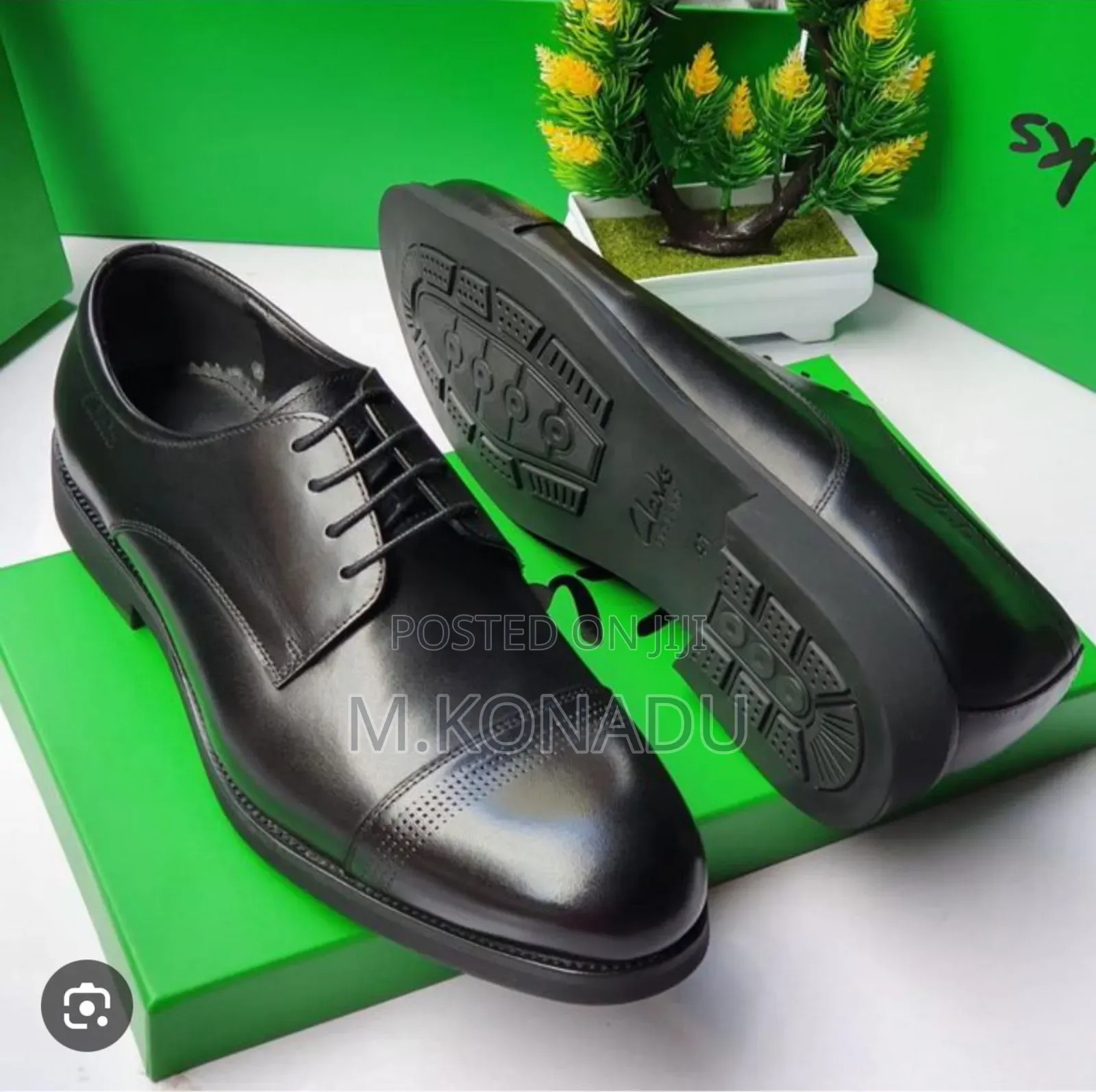 Official Men Shoe ( Clarks)