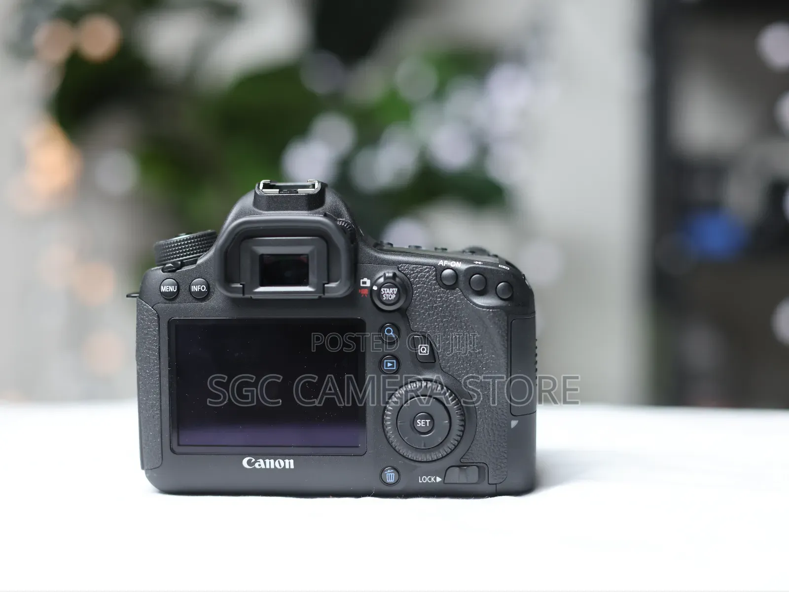 Canon Eos 6d (Wg) /Home Used / Excellent Condition / 8 Months Warranty