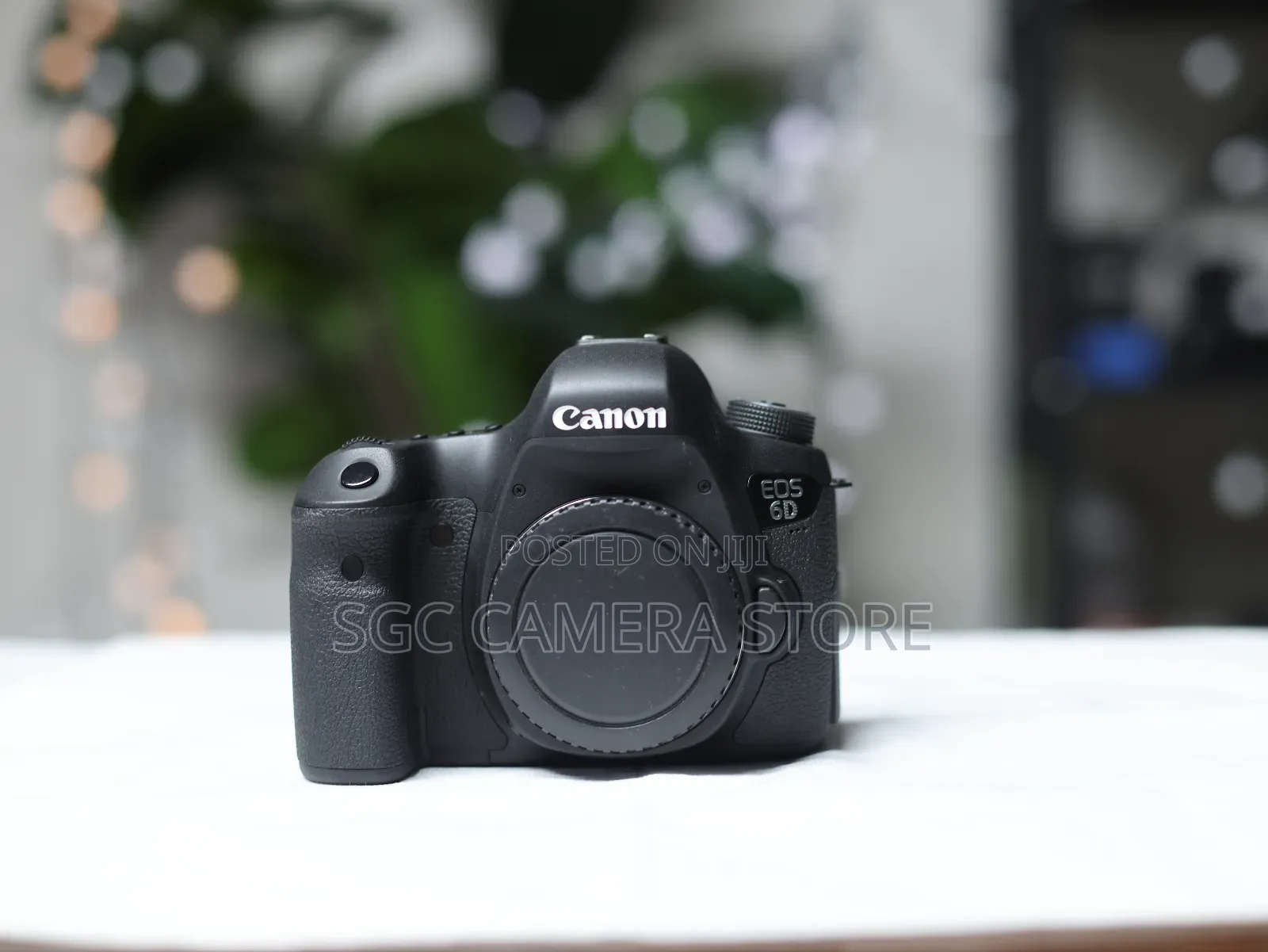 Canon Eos 6d (Wg) /Home Used / Excellent Condition / 8 Months Warranty