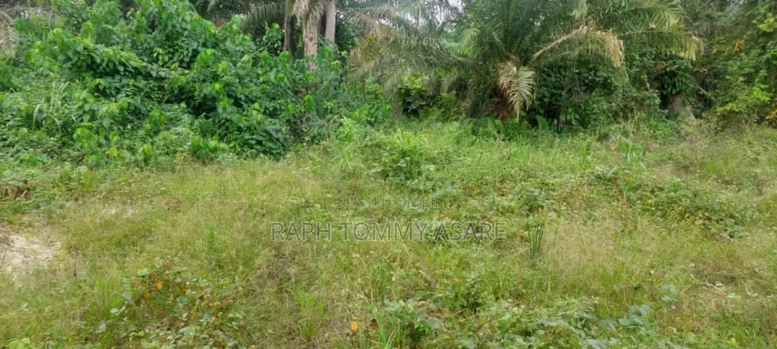 One Acre Farm Land for Sale