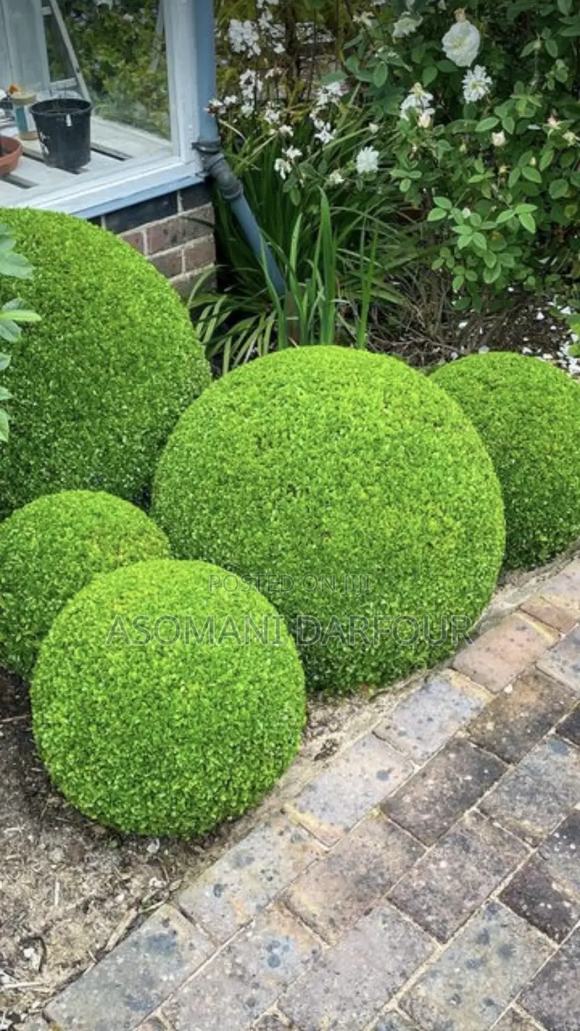 Landscaping and Garden Services in Ghana