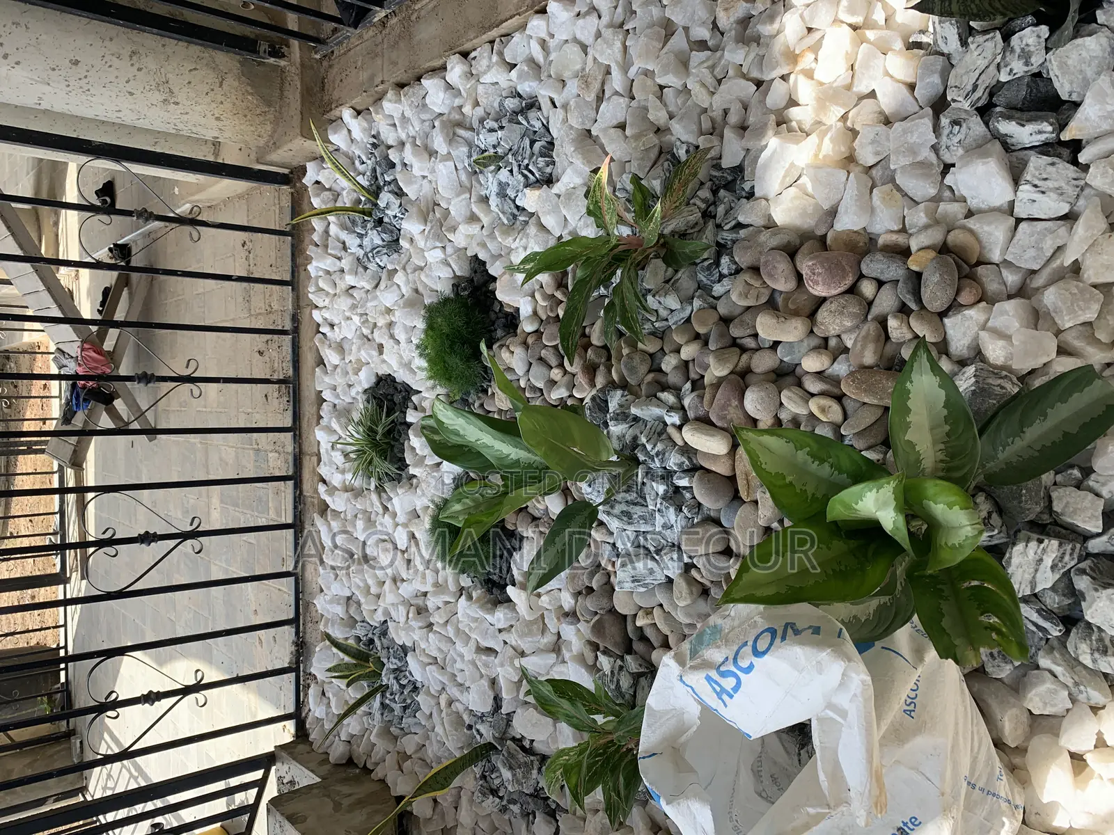 Landscaping and Garden Services in Ghana