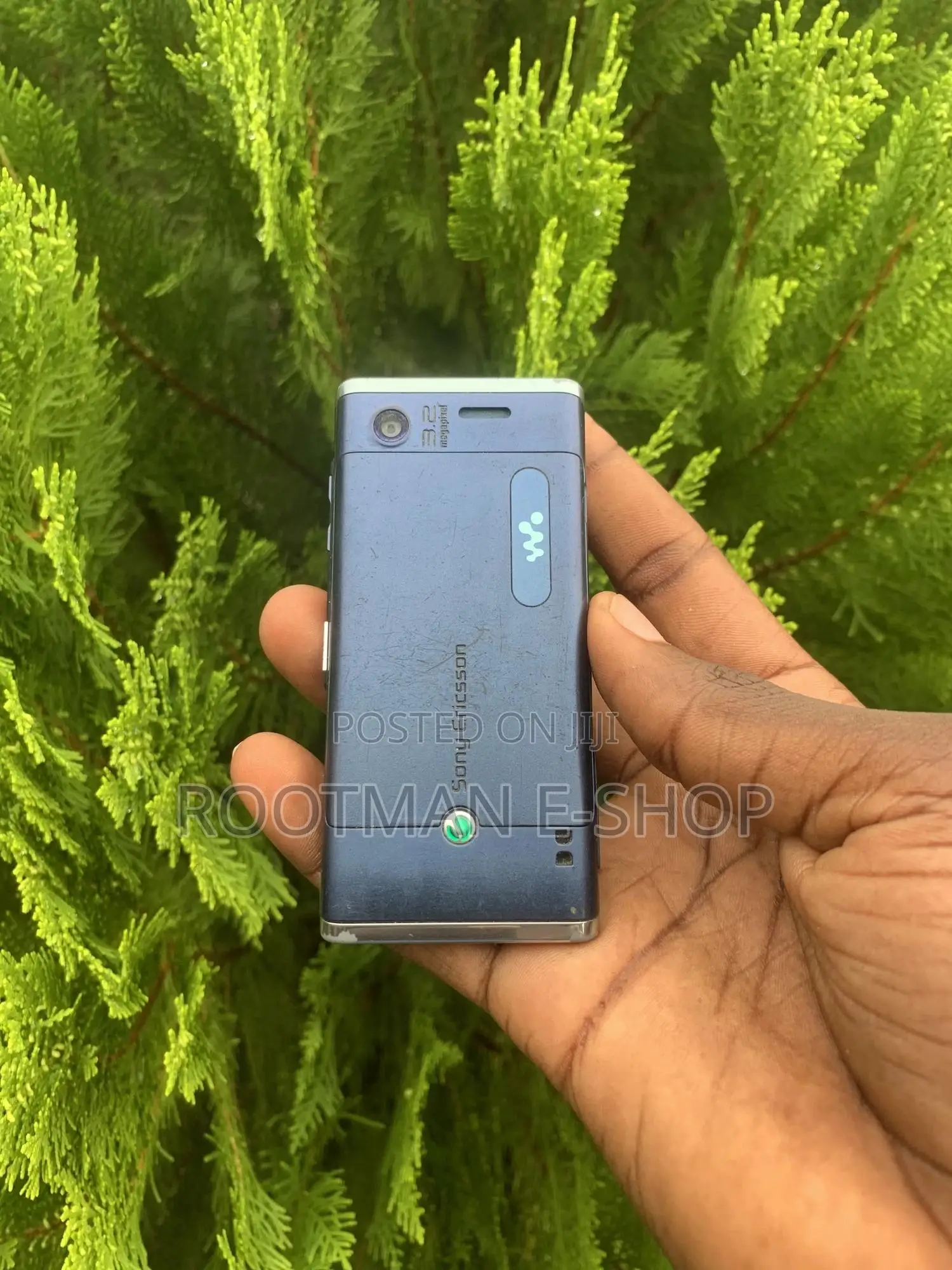 Sony Ericsson W595 Blue