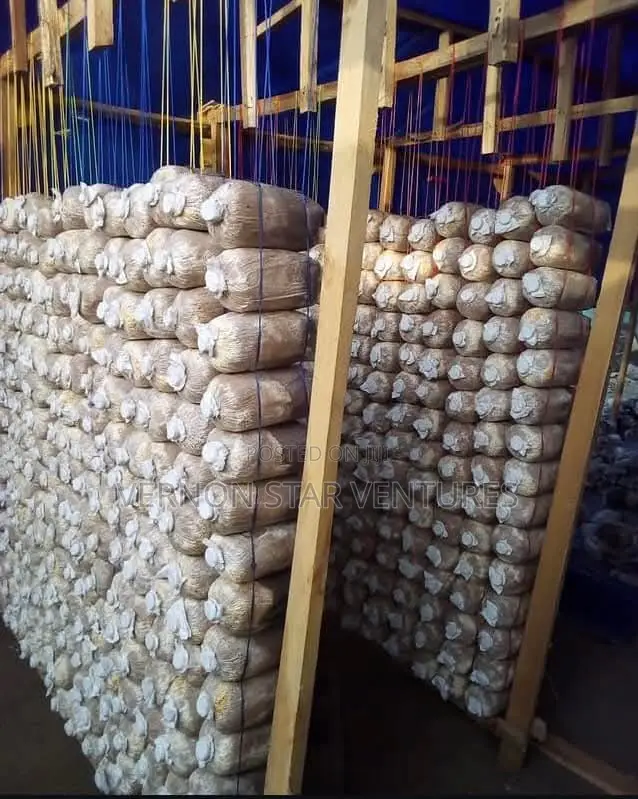 Mushroom Fruiting Bags