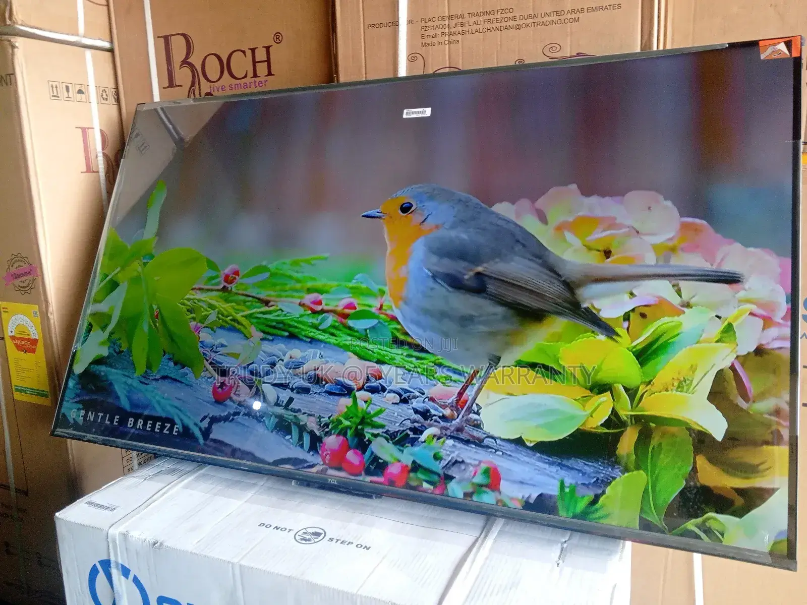 TCL 55 Smart Tv – Smooth Streaming Fast Navigation TCL