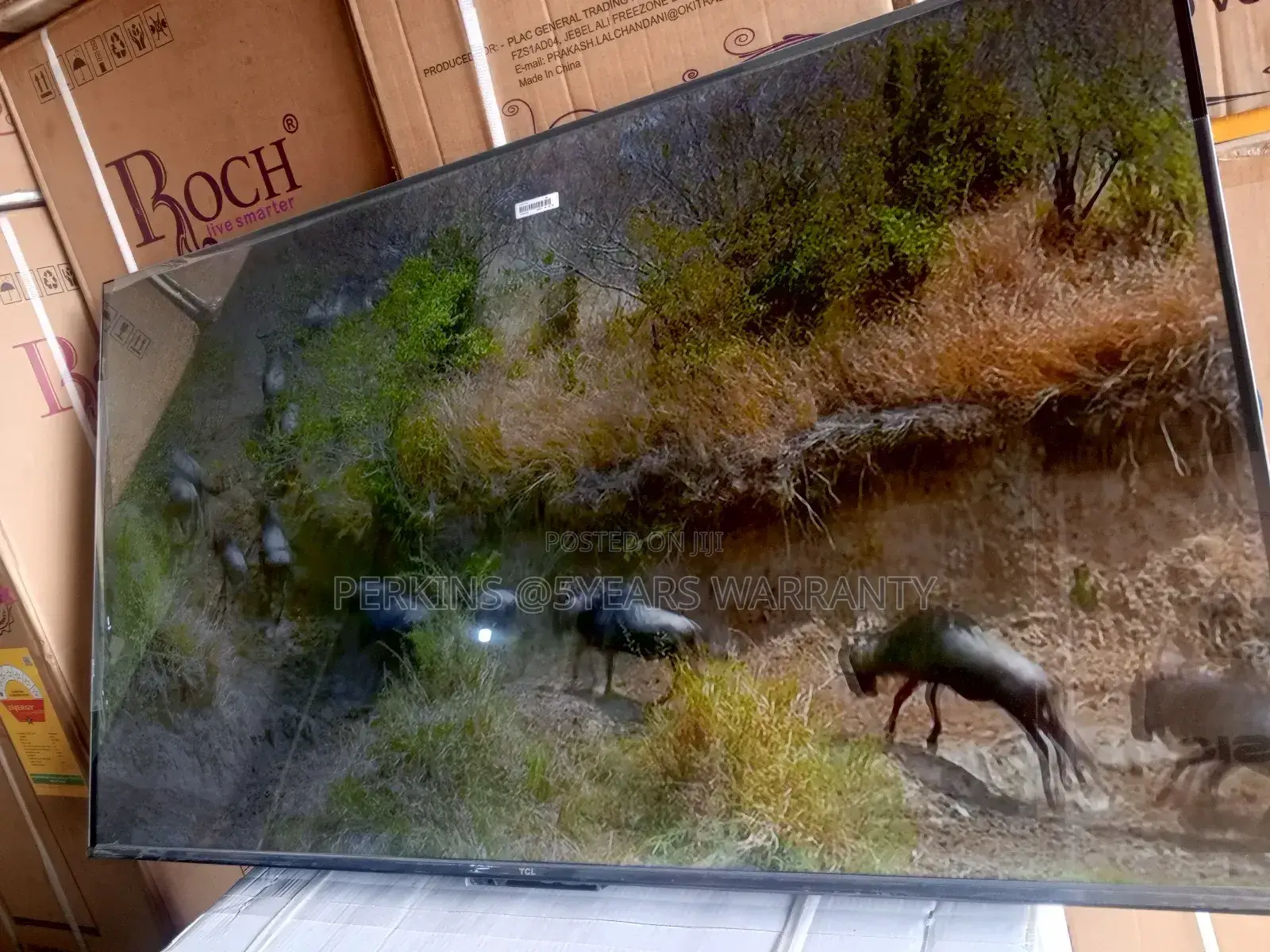 Transform Your Space With TCL 55-Inch Smart Tv