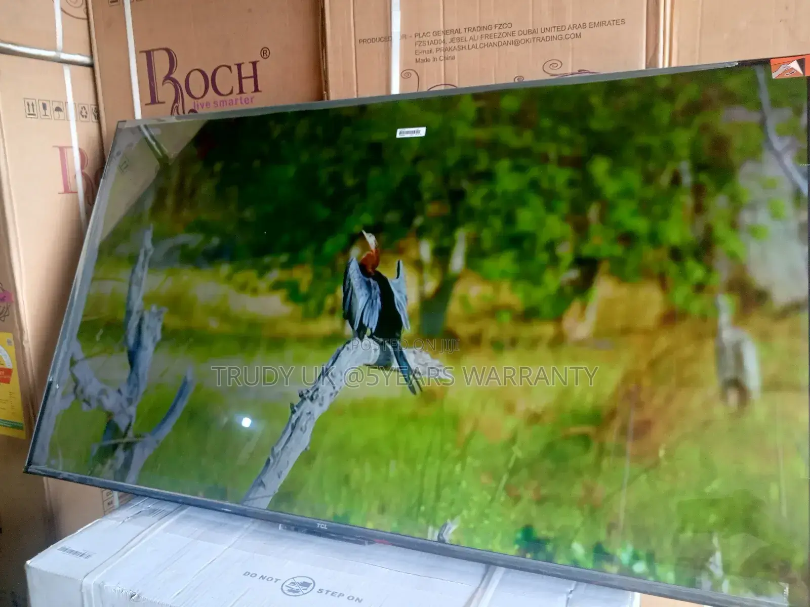The Future of TCL Viewing: TCL 55-Inch Smart Tv