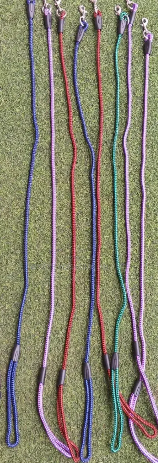 Dog and Cat Leashes