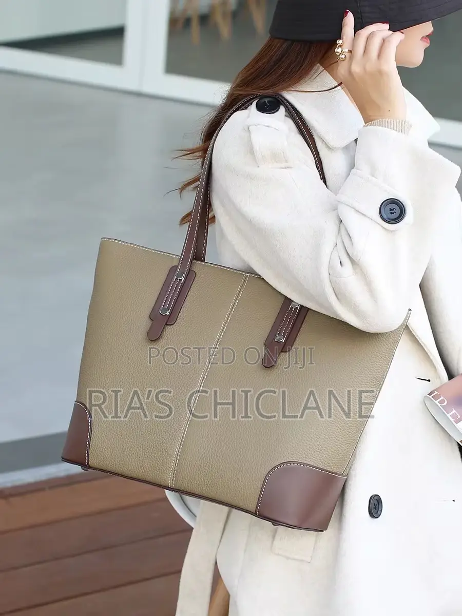 Elegant Ladies Handbag