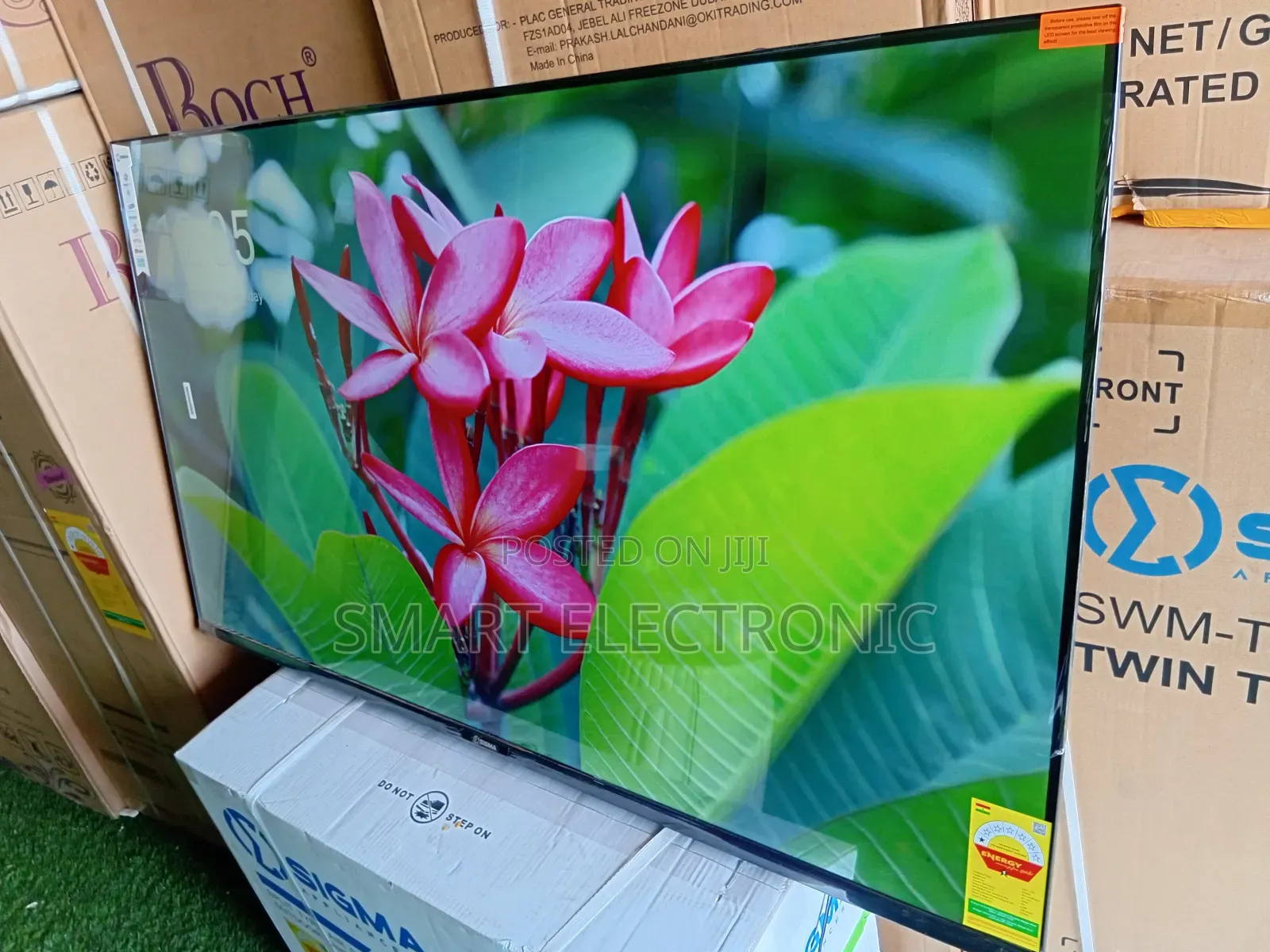 Big Screen, Smart Performance – Sigma 55” Smart-Tv