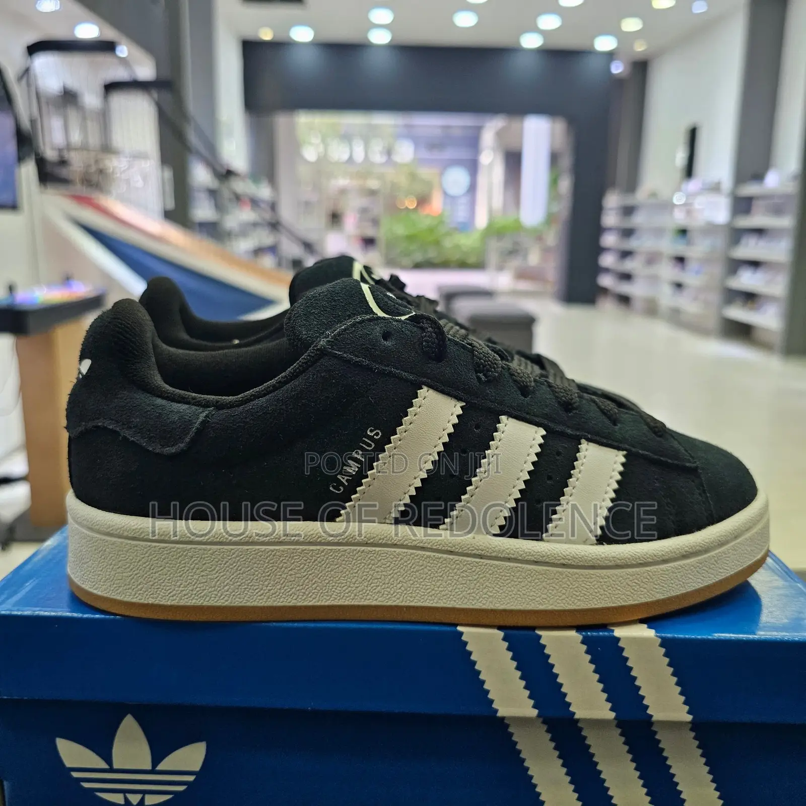 Adidas Campus Sneakers