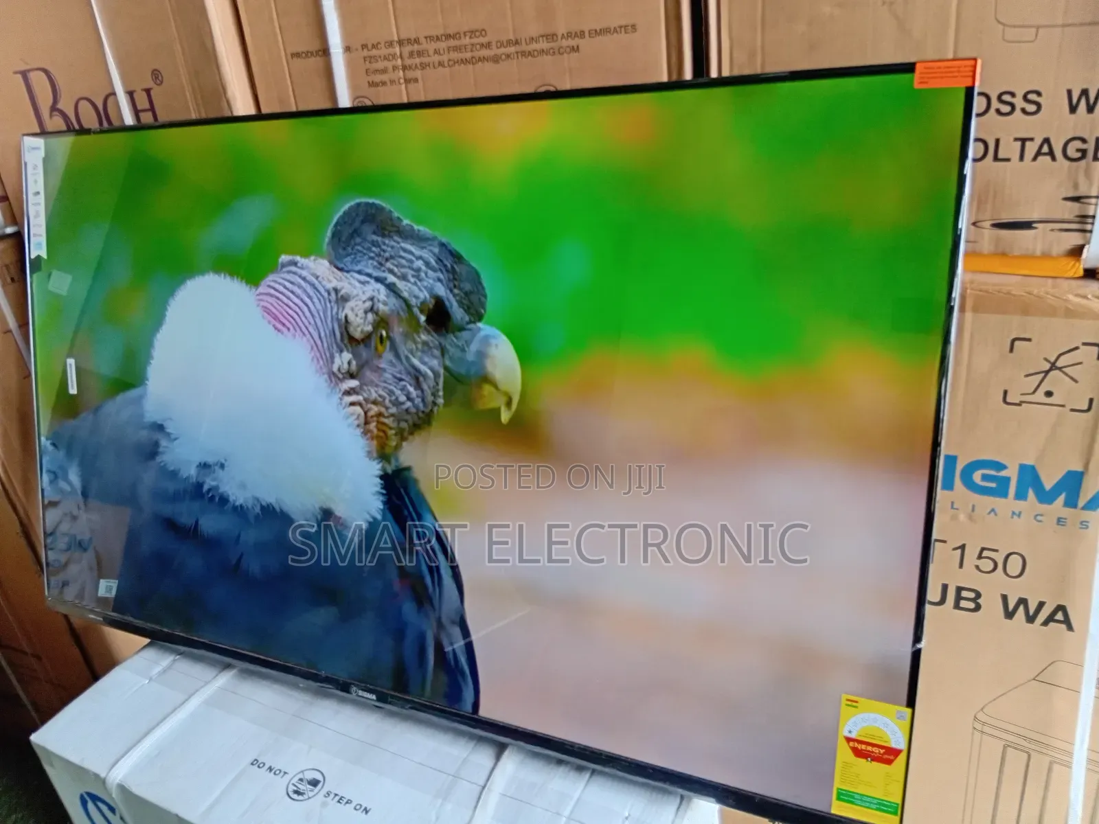 Sigma 55” Smart Tv – Big Screen, Big Fun