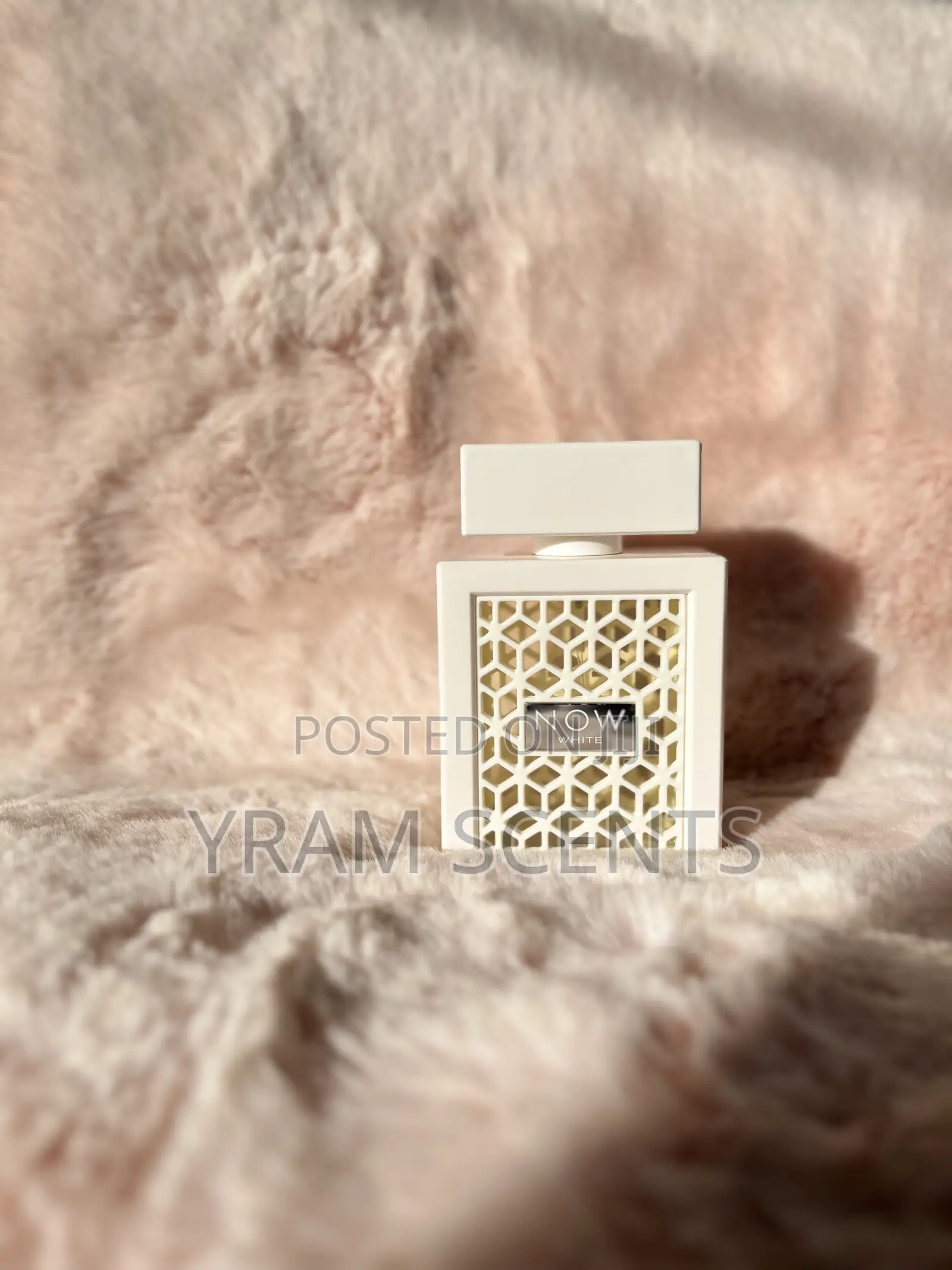 Now Rave (White)