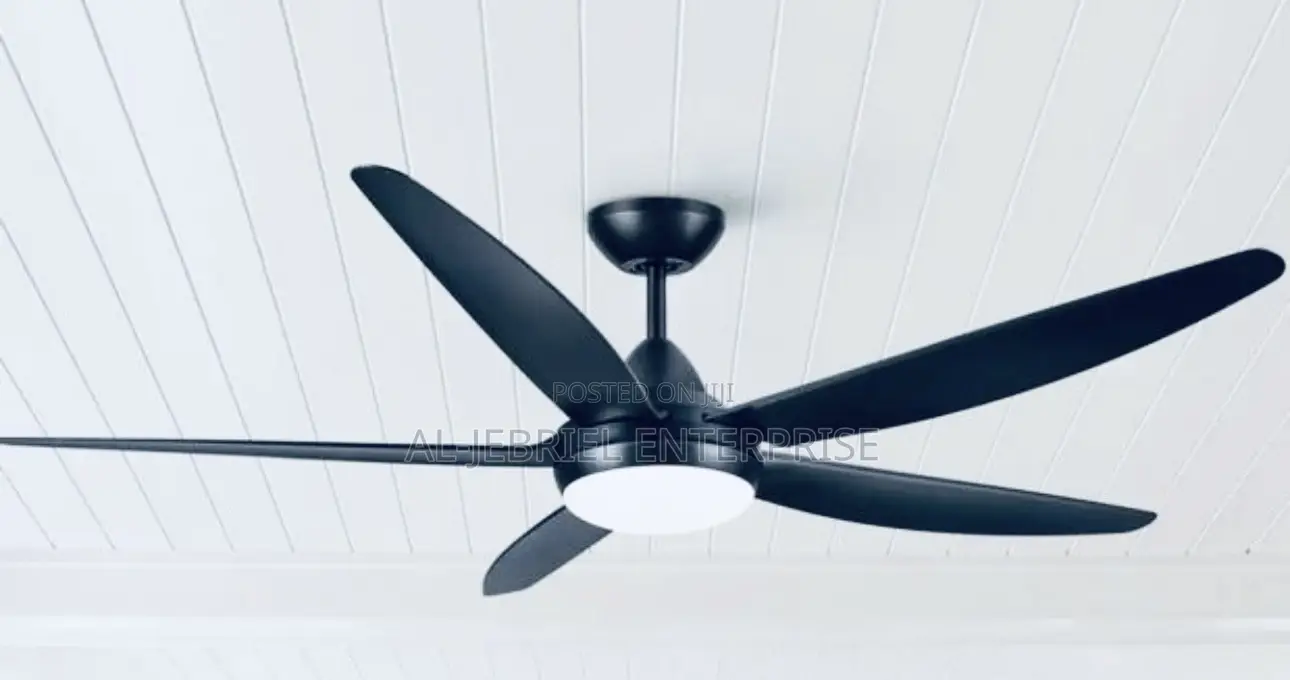 Long Blade Ceiling Fan 56”