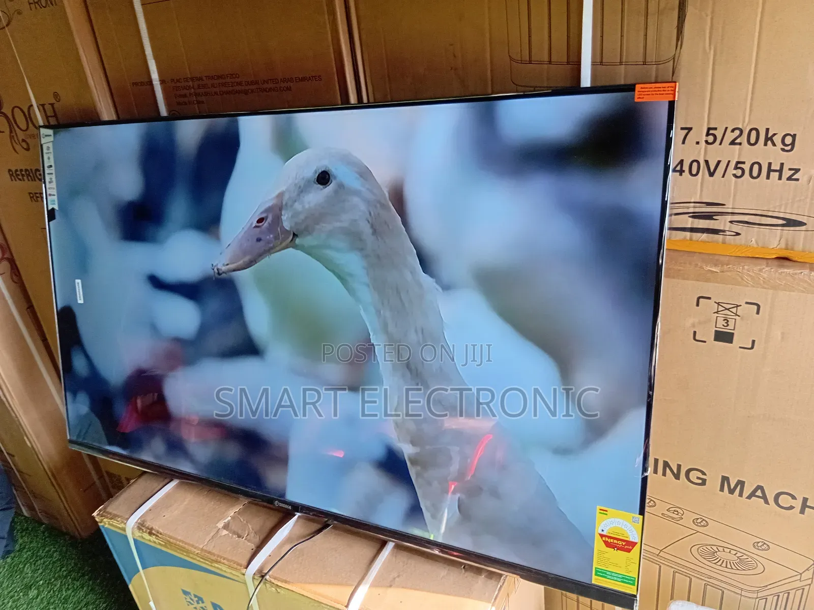 Sigma 55” Smart Tv – Bring Life to Your Room