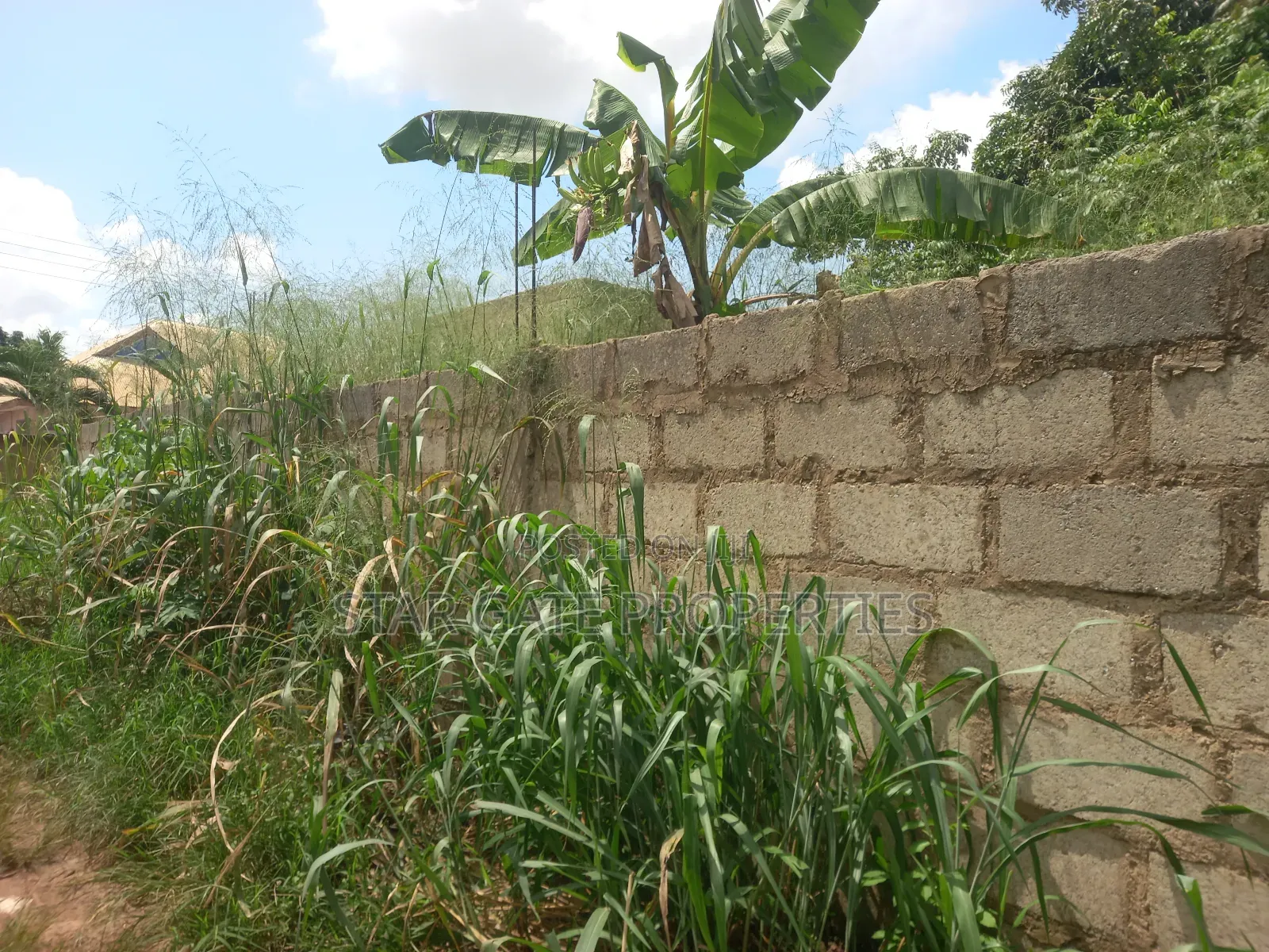 Plot ( With 3 Shops/ Stores) for Sale at Sabin Akrofrom ( Trede)