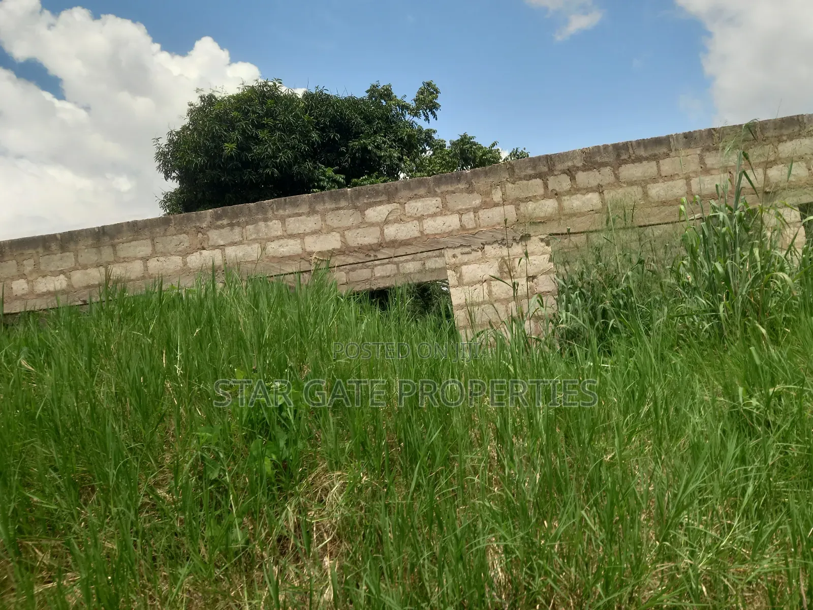 Plot ( With 3 Shops/ Stores) for Sale at Sabin Akrofrom ( Trede)