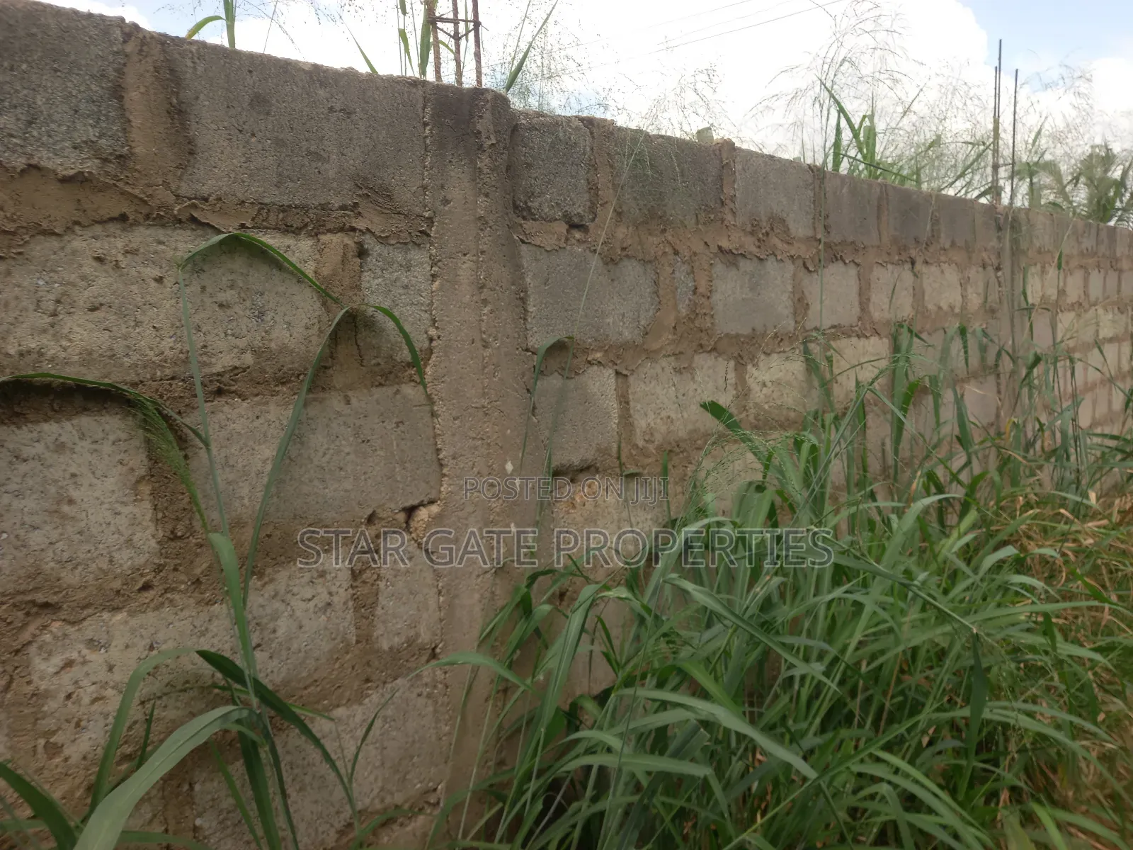 Plot ( With 3 Shops/ Stores) for Sale at Sabin Akrofrom ( Trede)