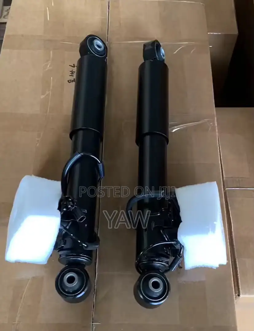 Lexus Rx 350 2017-2022 Back Shock Absorber