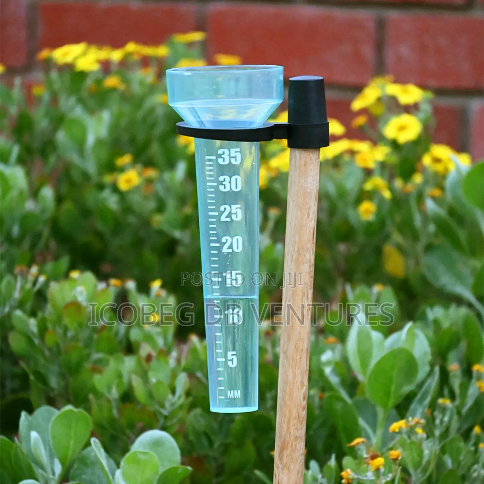 Rain Gauge