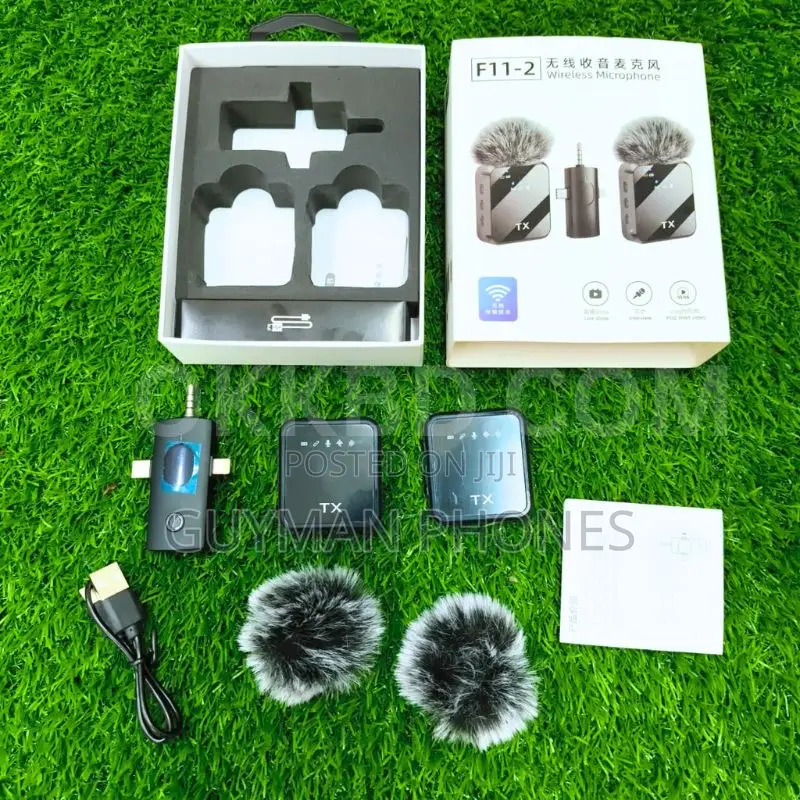 F11-2 Wireless Microphone