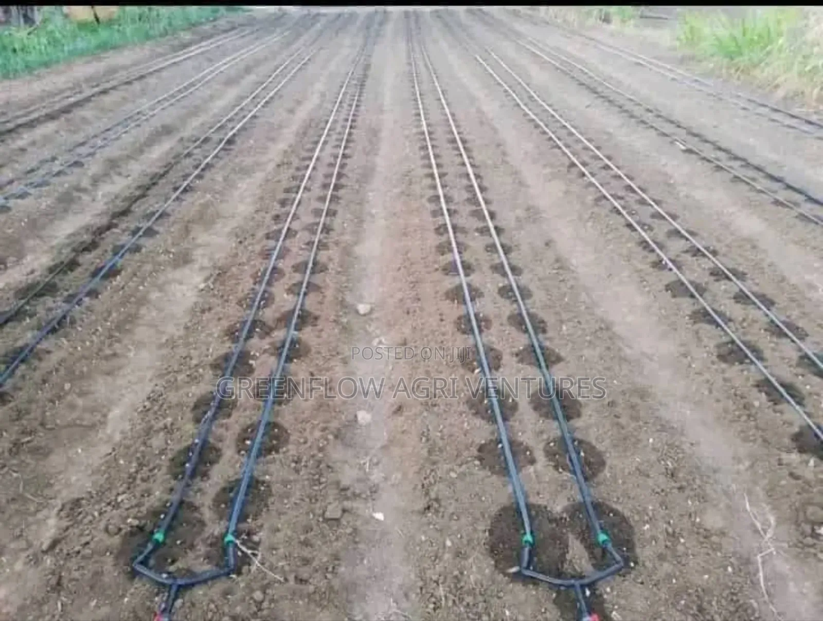 500m2 Drip Irrigation Kits (From Half Plot To Acre Full Set Package)