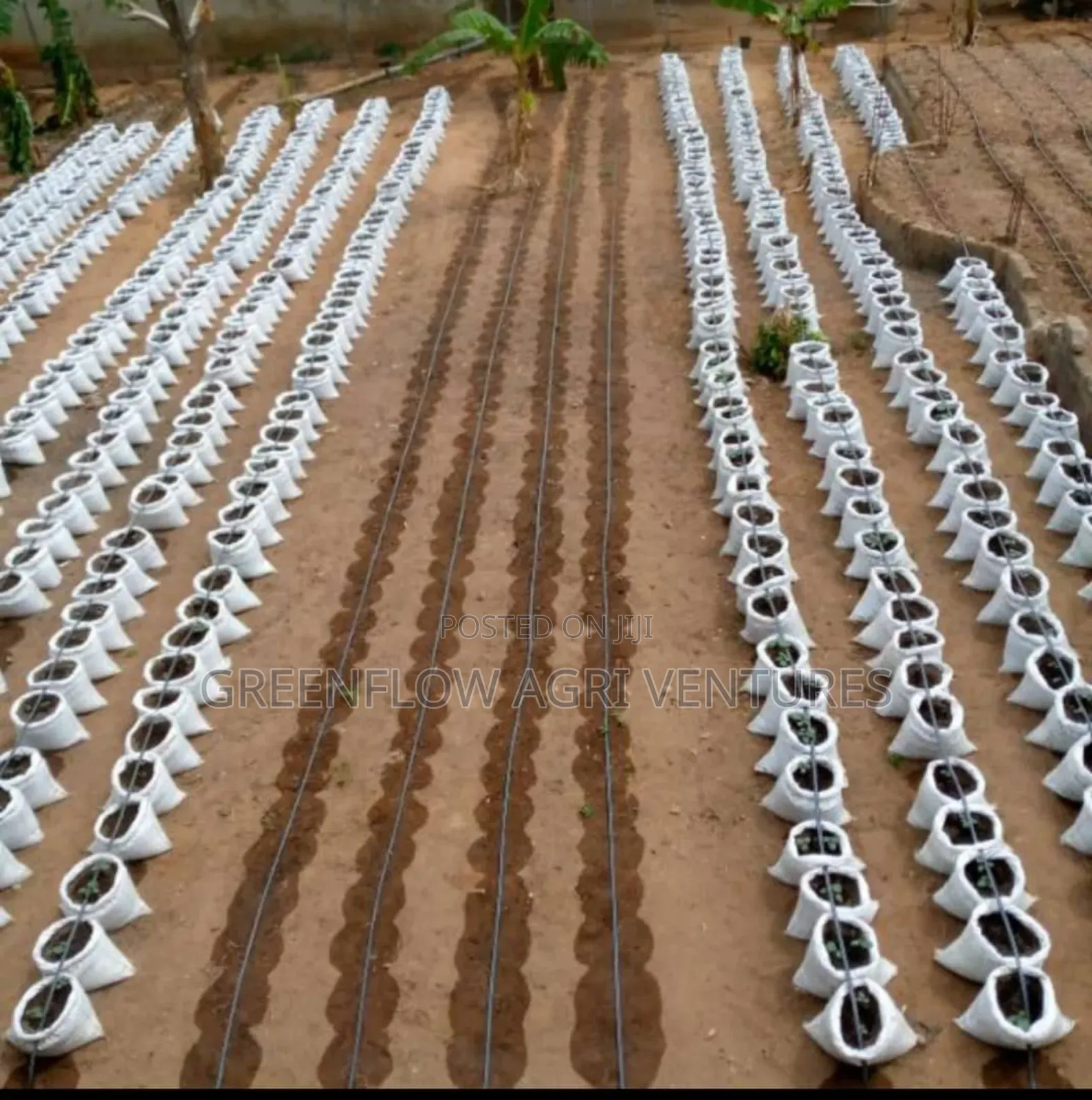 500m2 Drip Irrigation Kits (From Half Plot To Acre Full Set Package)