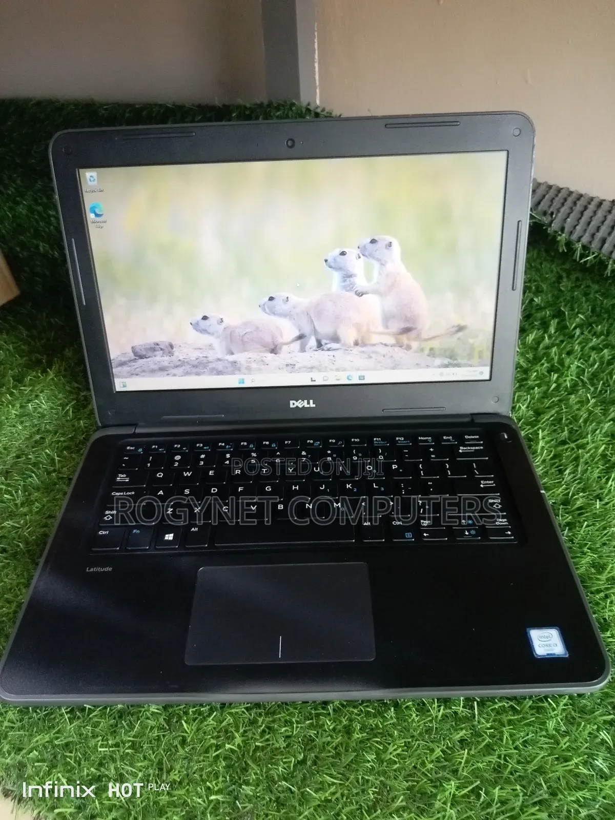 Laptop Dell Latitude 3380 8GB Intel Core i3 HDD 500GB