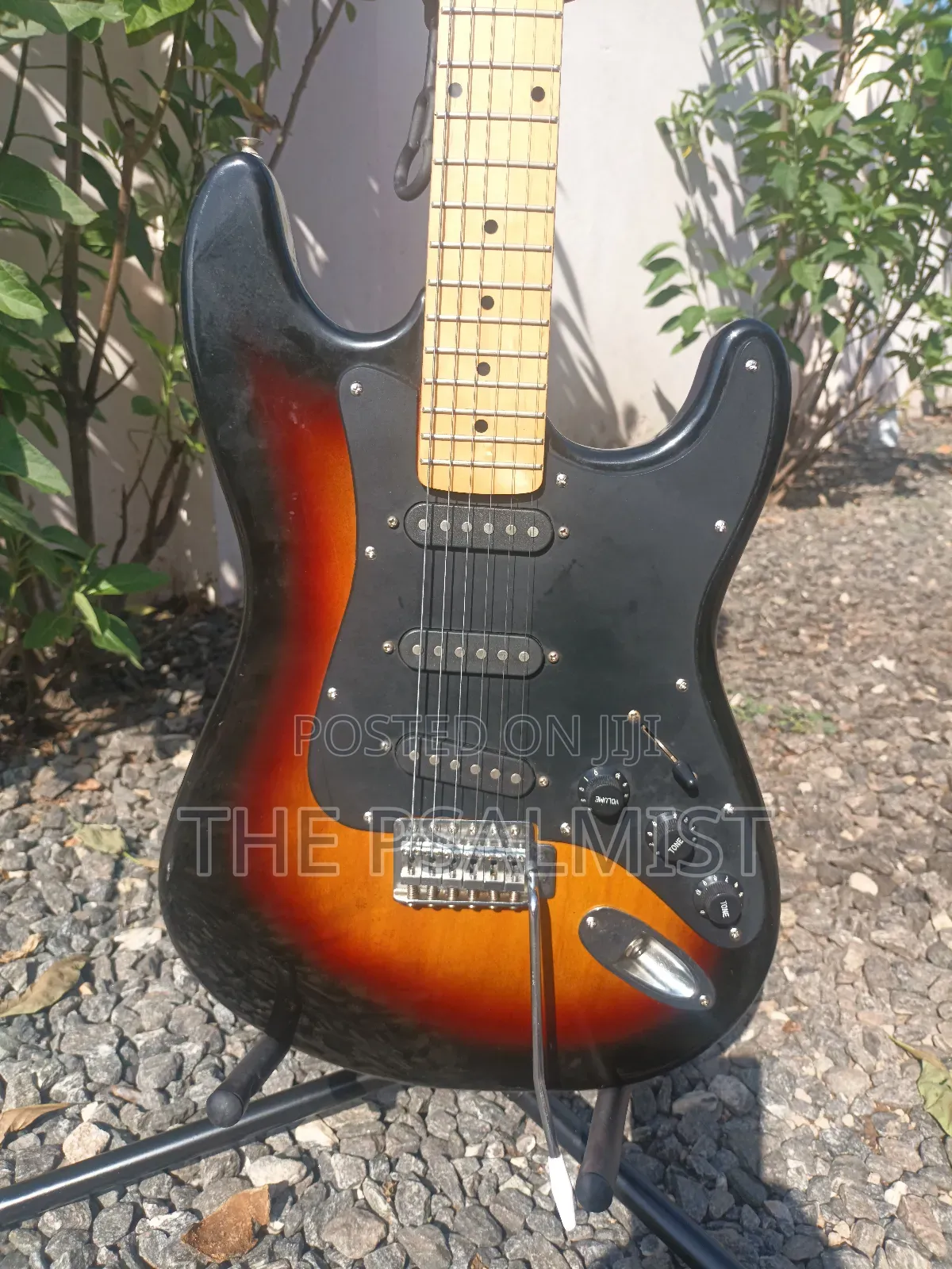 Telecaster Strat the Animal With a Padded Bag