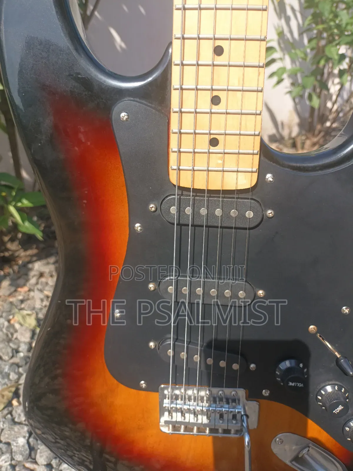 Telecaster Strat the Animal With a Padded Bag