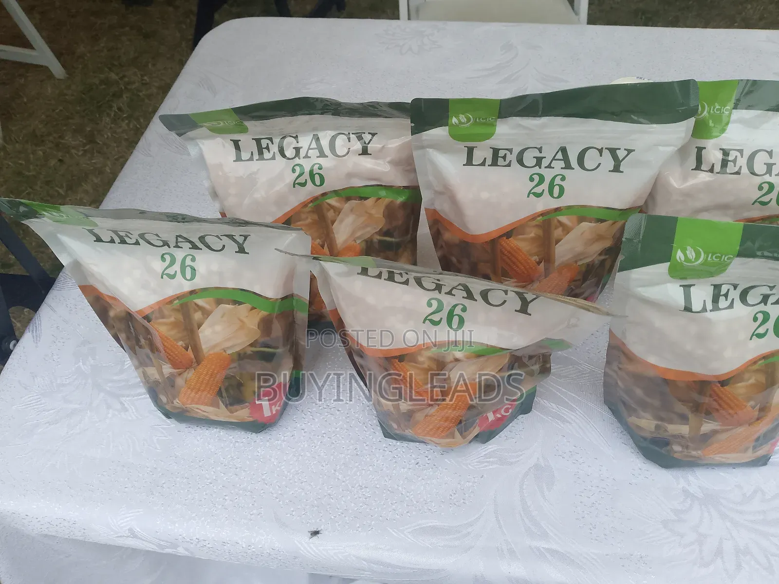1 Kg Hybrid Maize Seed Legacy 26