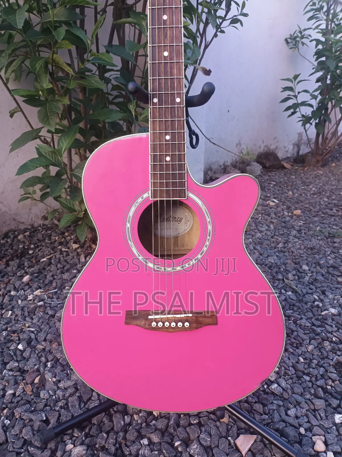 Monterey Ma 15pk Acoustic Guitar