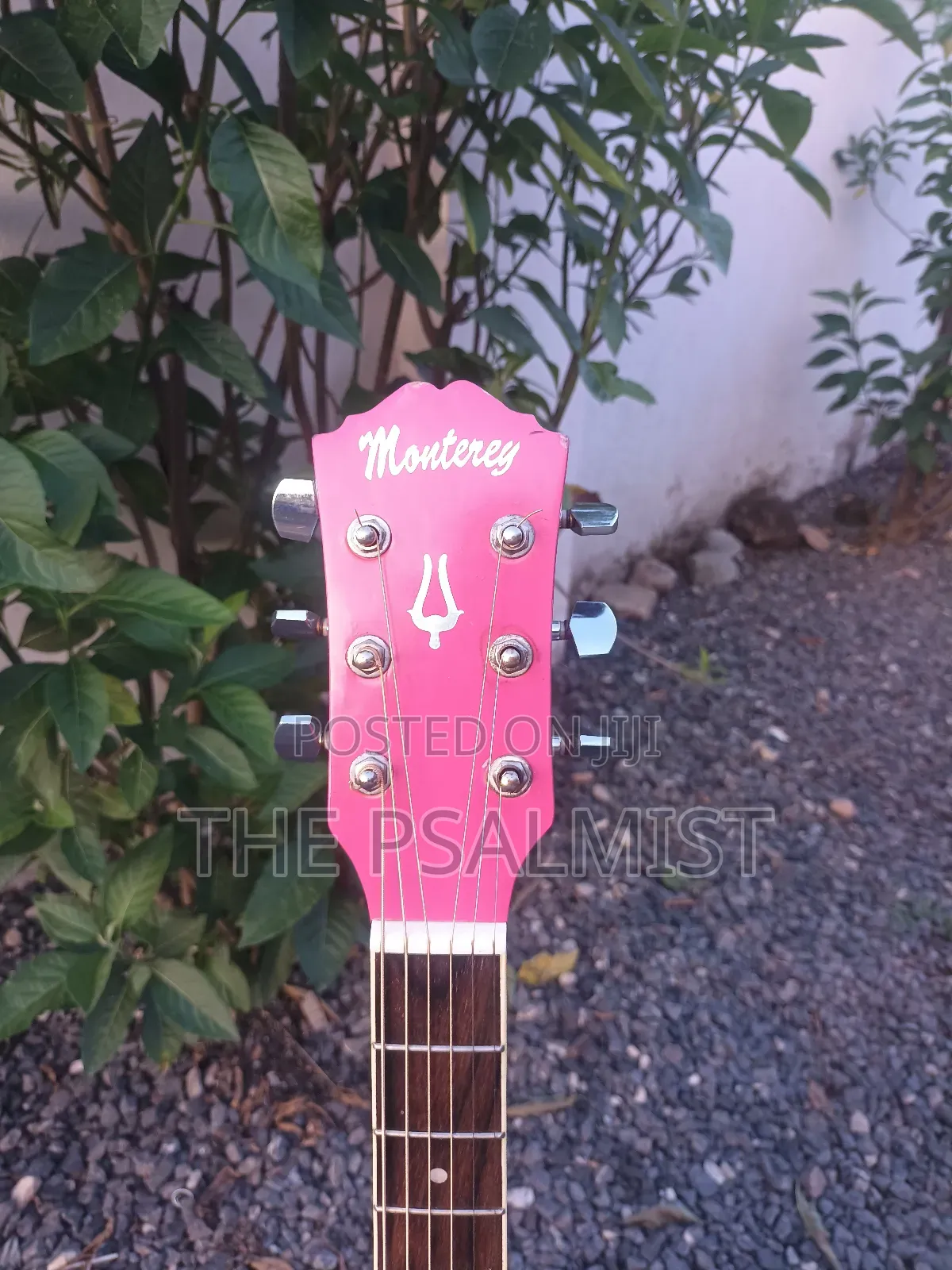 Monterey Ma 15pk Acoustic Guitar