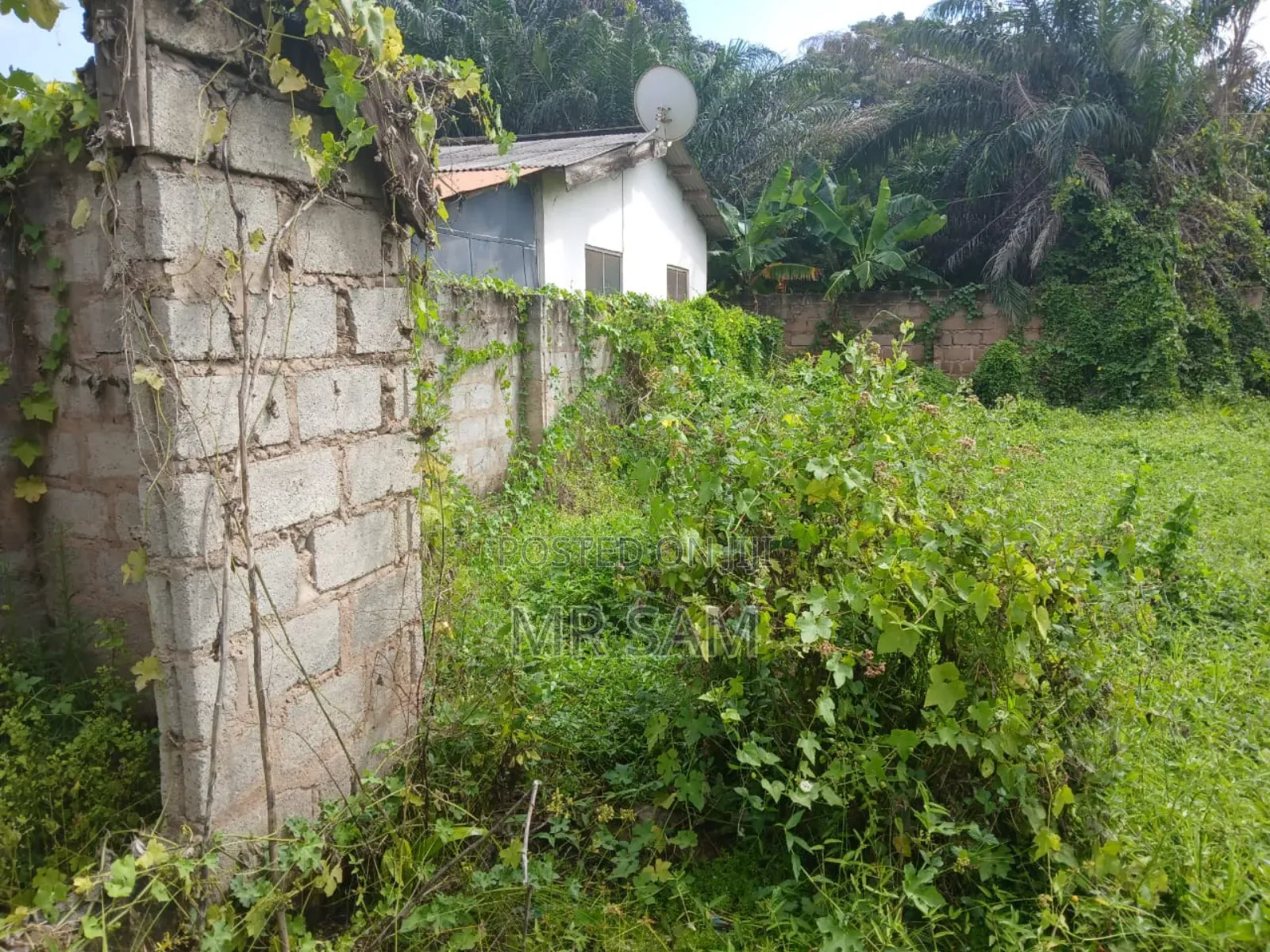 1plot of Land for Sale at New Bortiano