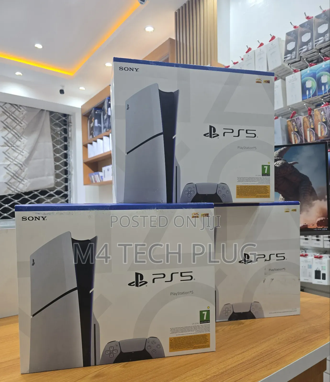 Plyastion5 Slim Standard Edition