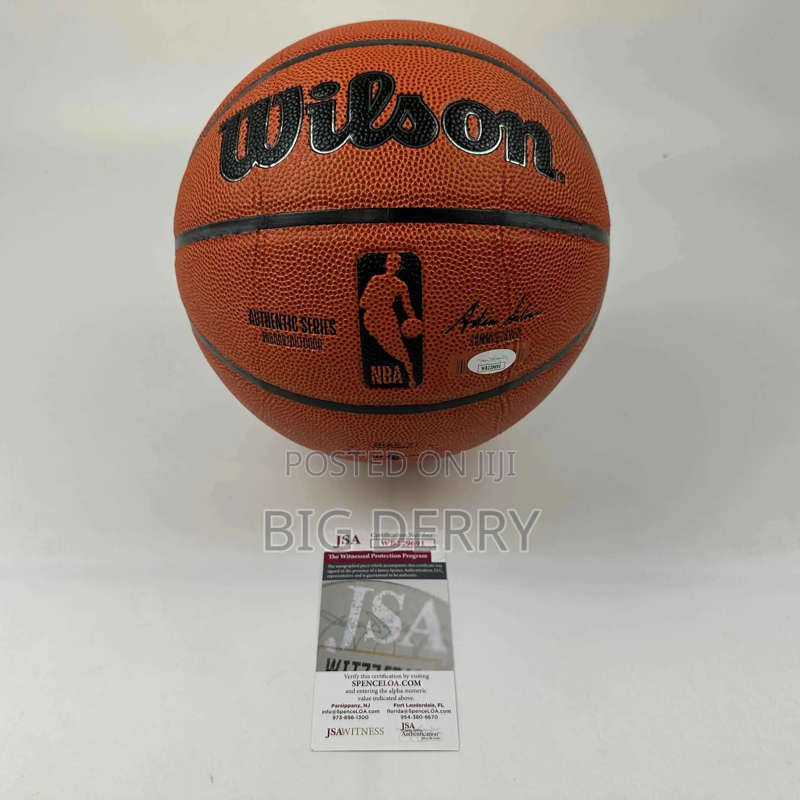 Wilson Basketball