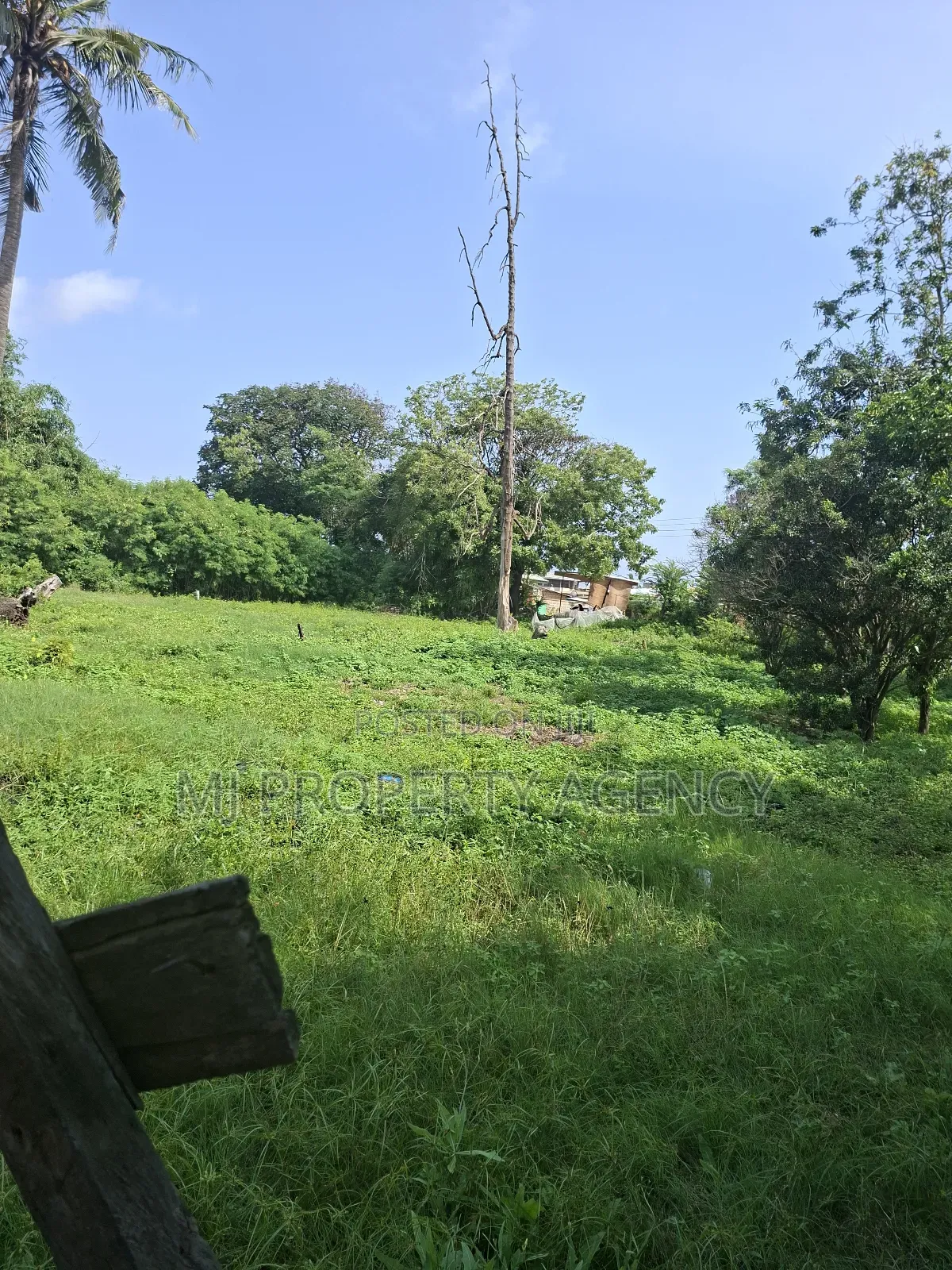 Half Roadside Commercial Plot at Community 7